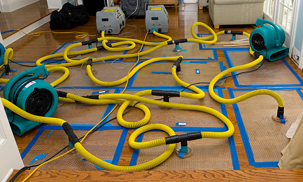 Professional Water Damage Restoration technician working in Ocean Springs, MS